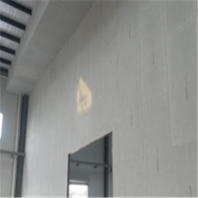 丽水宁波ALC板|EPS加气板隔墙与混凝土整浇联接的实验研讨